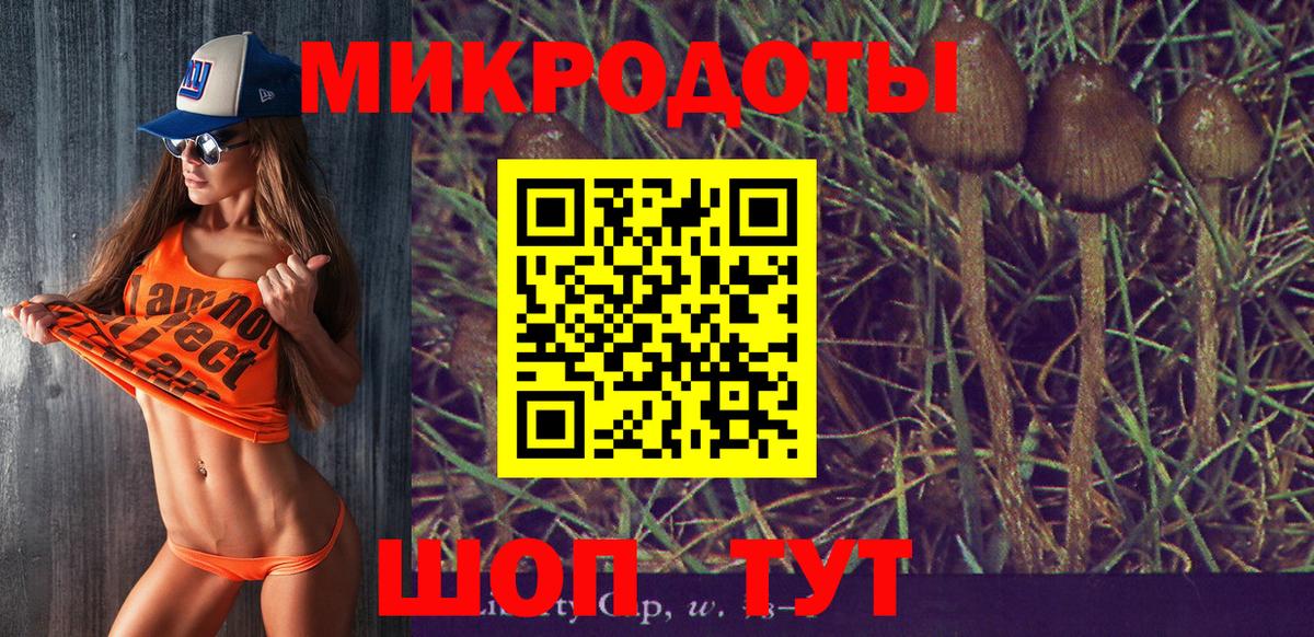 Псилоцибиновые грибы GOLDEN TEACHER  Вход с VPN  Псилоцибиновые грибы Cubensis  Урус-Мартан 