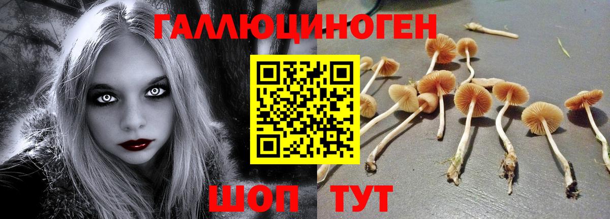 Гашиш  Альфа ПВП СК   Кокаин  МЕФ кристаллы  Урус-Мартан  ТГК  Вход с VPN  Марихуана 